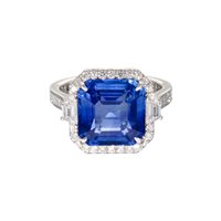Vicenza - Piazzetta Palladio 2 - Ring Crivelli Woman ZAFFIRO in White Gold Zaffiro blu 8.85 Ct 000-5383NS - 000-5383NS